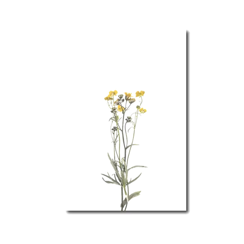 Láminas Botánicas Nórdicas – Posters de Flores Silvestres para Decoración de Pared