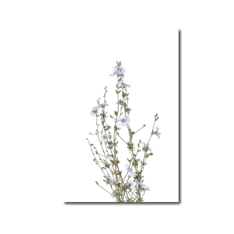 Láminas Botánicas Nórdicas – Posters de Flores Silvestres para Decoración de Pared