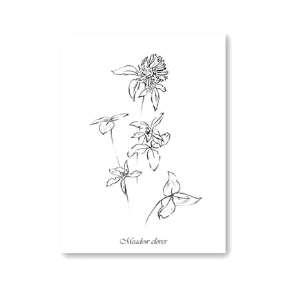 Láminas Botánicas Nórdicas – Posters de Flores Silvestres para Decoración de Pared