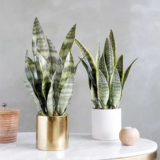 Planta Artificial de Hojas Largas 21-68 cm – Decoración Tropical