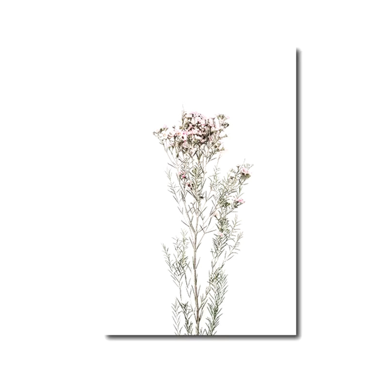Láminas Botánicas Nórdicas – Posters de Flores Silvestres para Decoración de Pared