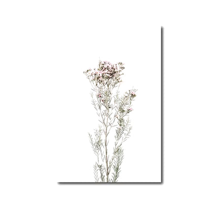 Láminas Botánicas Nórdicas – Posters de Flores Silvestres para Decoración de Pared