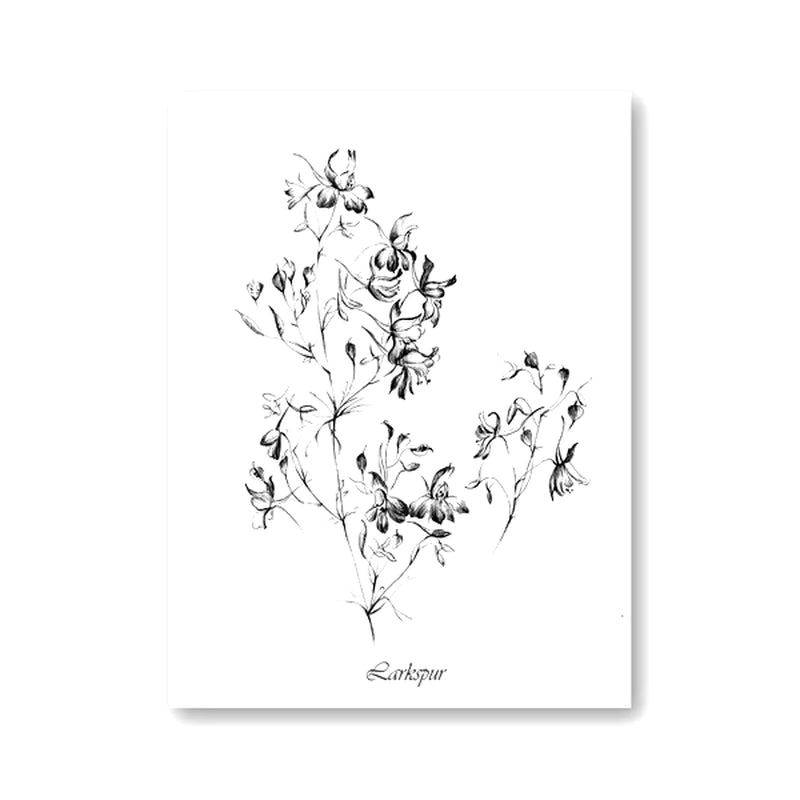 Láminas Botánicas Nórdicas – Posters de Flores Silvestres para Decoración de Pared
