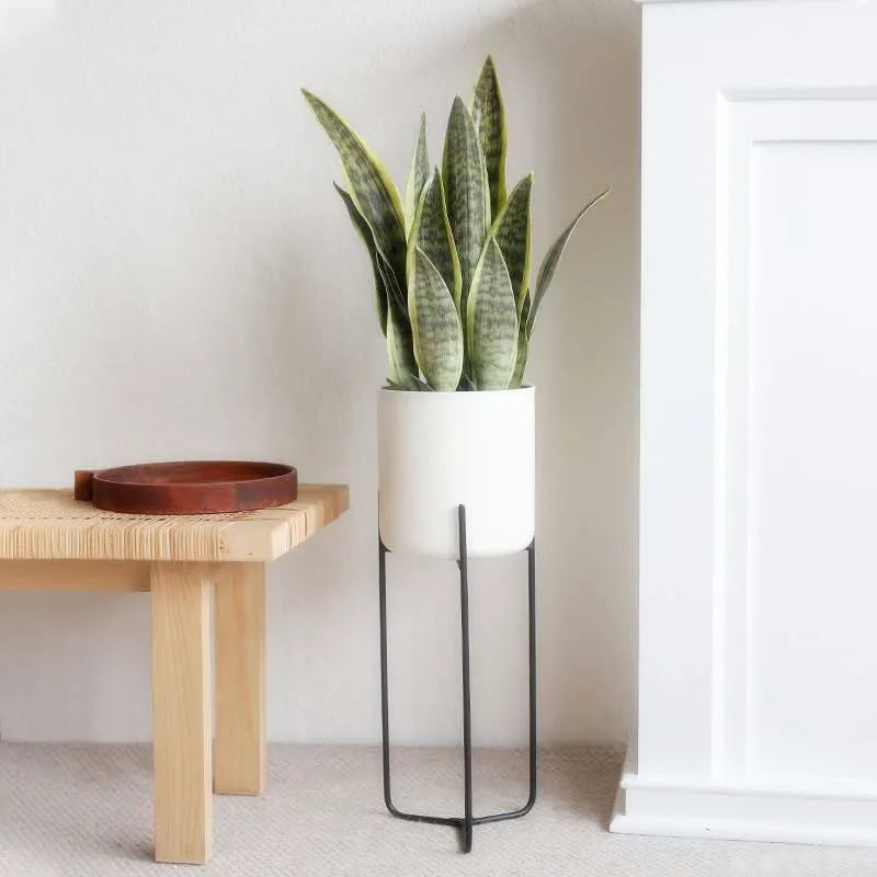Planta Artificial de Hojas Largas 21-68 cm – Decoración Tropical
