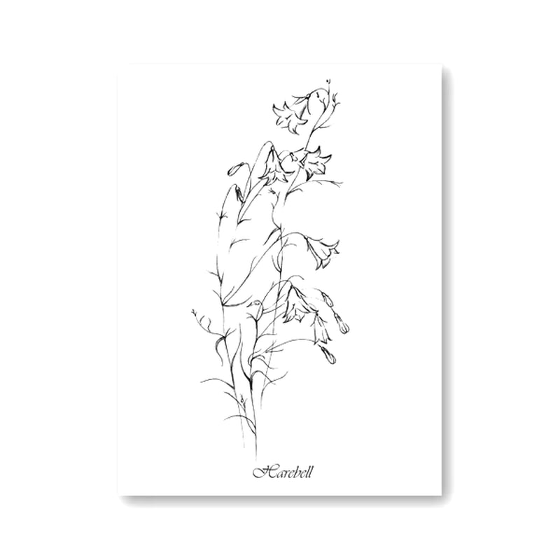 Láminas Botánicas Nórdicas – Posters de Flores Silvestres para Decoración de Pared