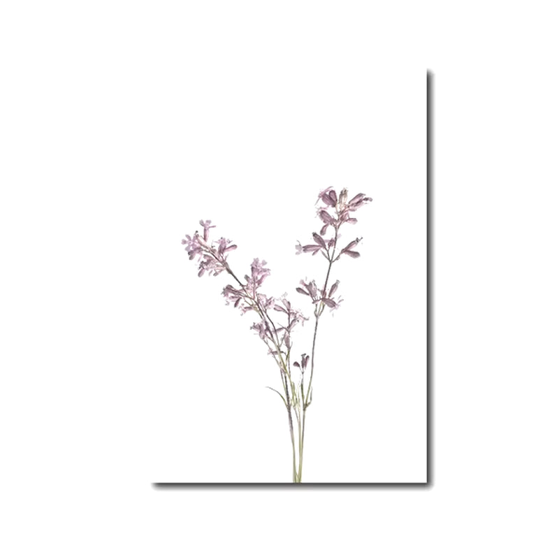 Láminas Botánicas Nórdicas – Posters de Flores Silvestres para Decoración de Pared