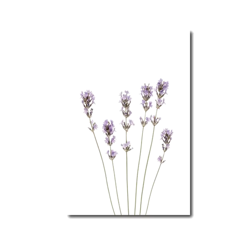Láminas Botánicas Nórdicas – Posters de Flores Silvestres para Decoración de Pared