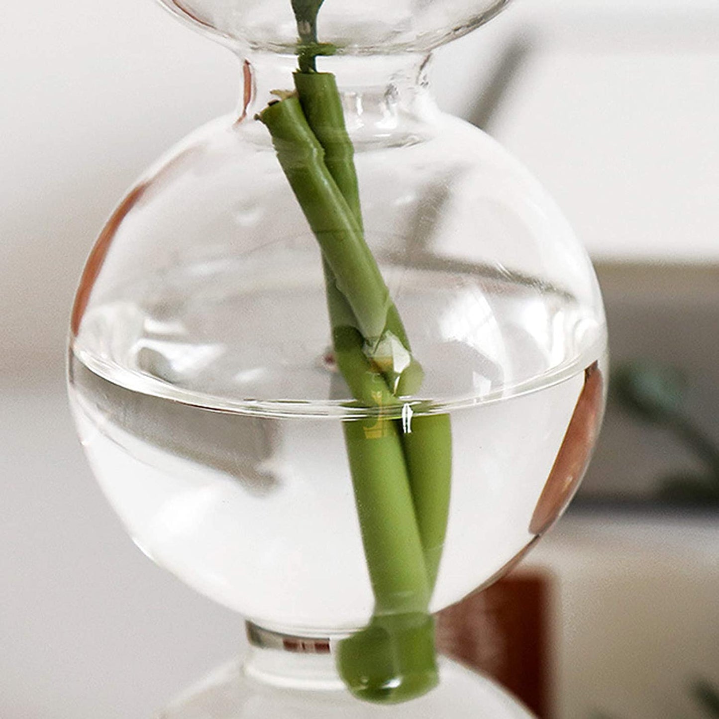 Florero Esférico de Vidrio Transparente Estilo Nórdico – Jarrón Decorativo para Hidroponía