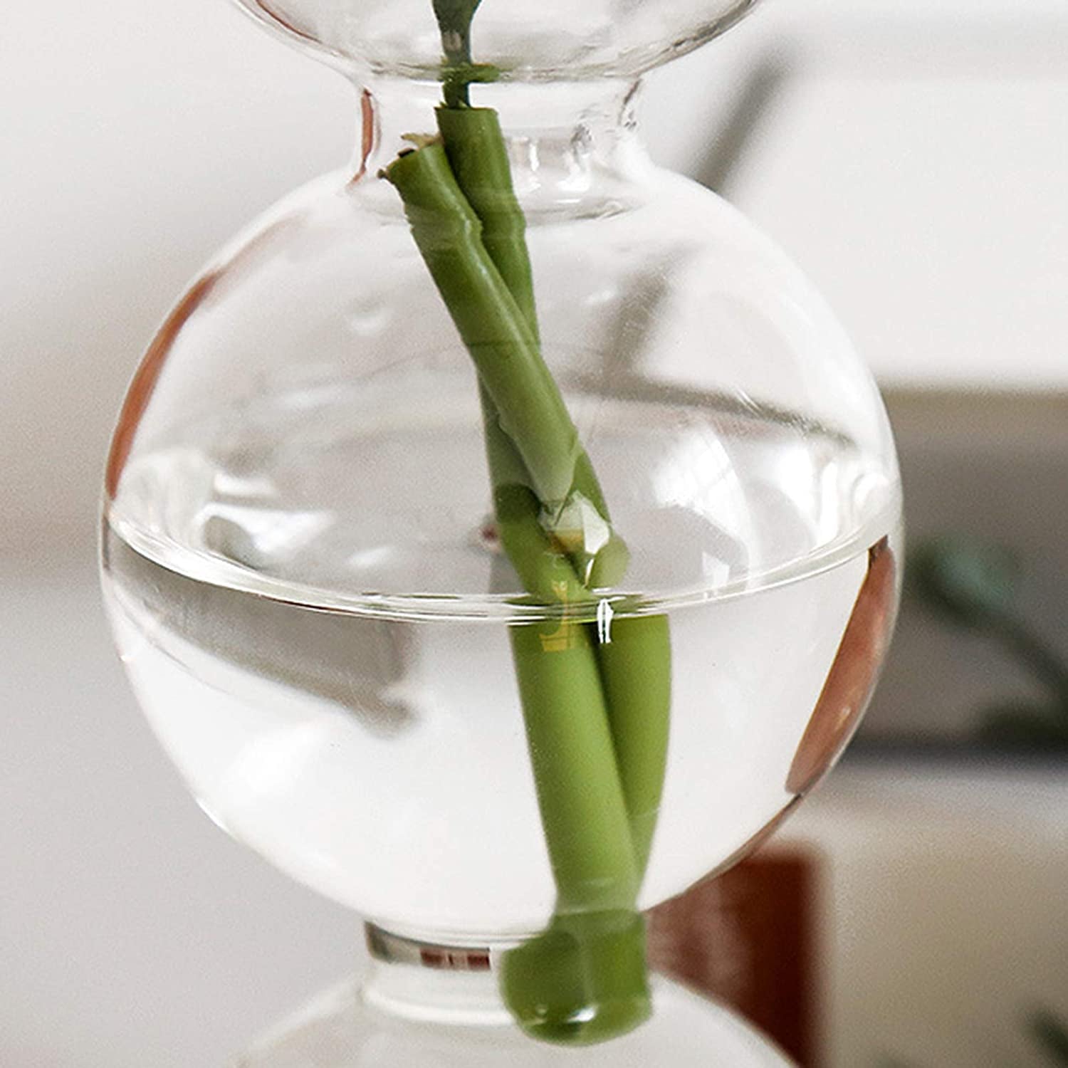 Florero Esférico de Vidrio Transparente Estilo Nórdico – Jarrón Decorativo para Hidroponía